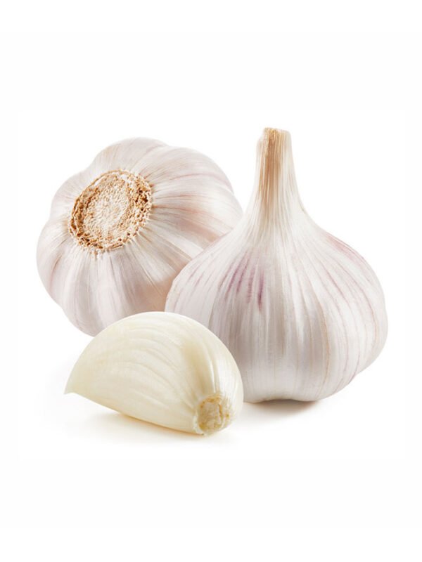 Fresh Organic Garlic