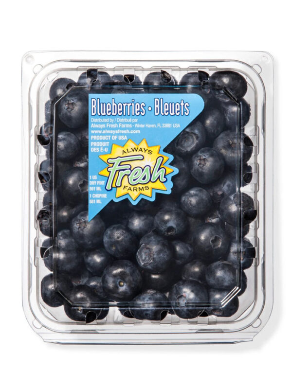 Blueberries – 1 Pint Package